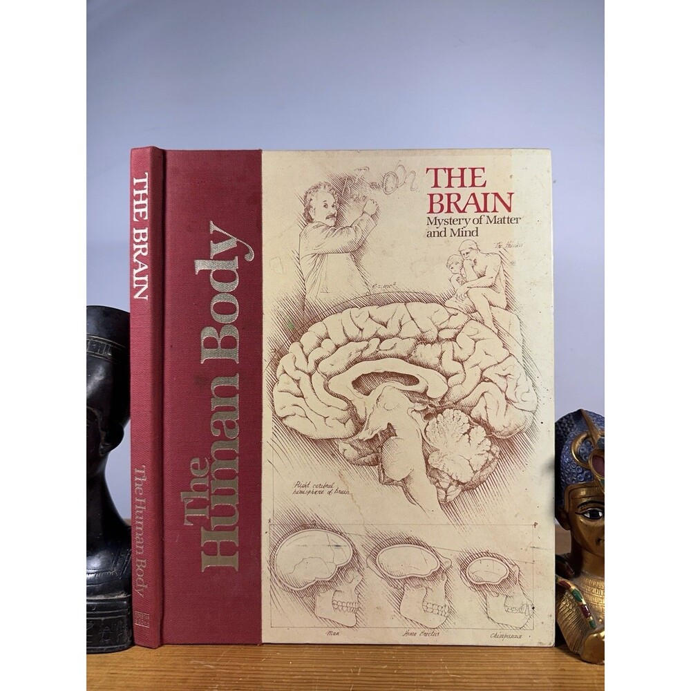 The Brain Mystery of Matter and Mind The Human Body Torstar Books